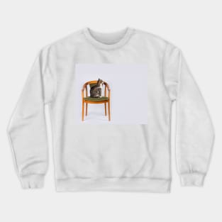 a cat on a chair Crewneck Sweatshirt